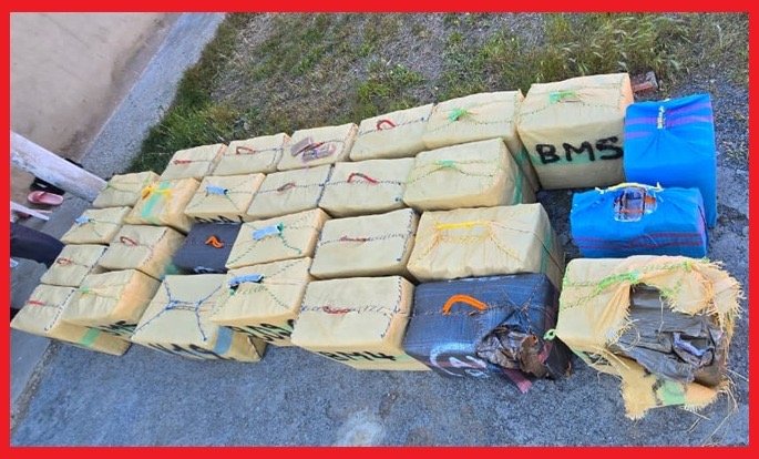 حجز 865 كيلوغراماً من الشيرا وتوقيف شخصين بالرباط 